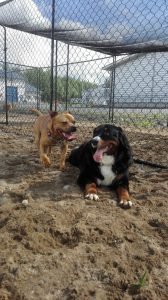 IMG-20160617-WA0010