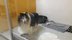IMG-20170206-WA0000
