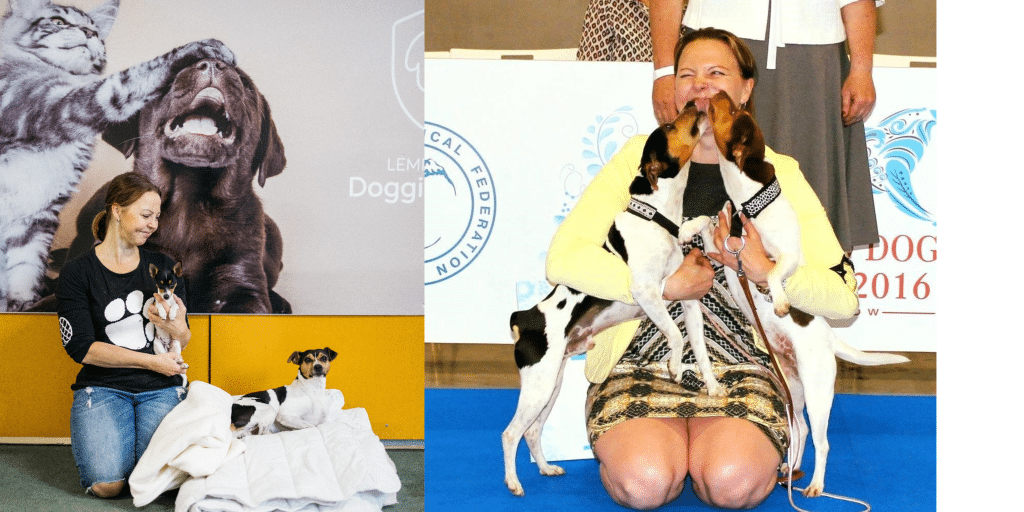 Kirsi Hautakangas Lemmikkihotelli Doggies & Kitties