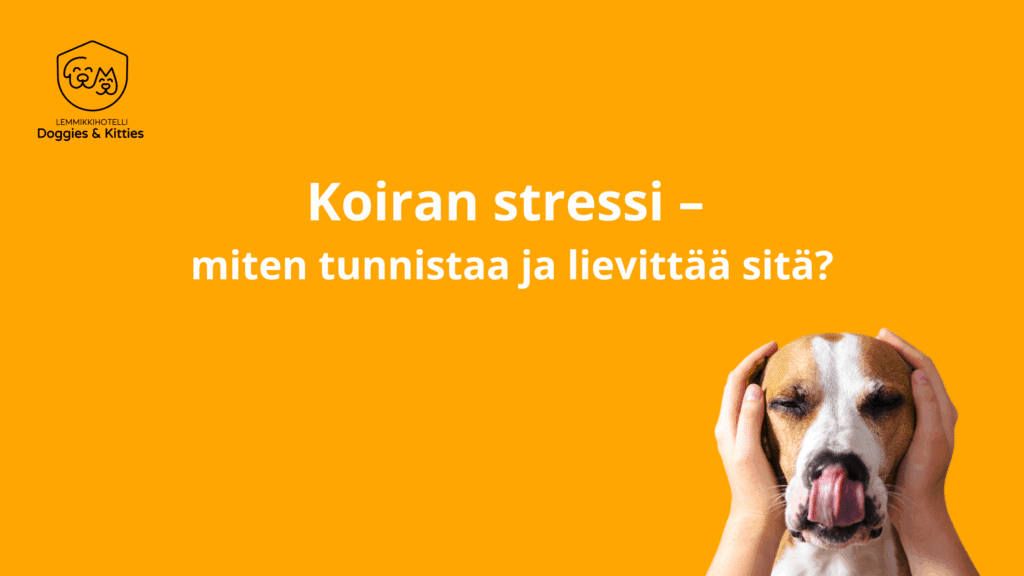 Koiran stressi
